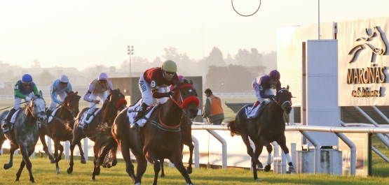 CLÁSICO CAMPEONES MILE - COPA STUD BOOK URUGUAYO