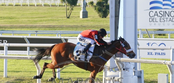 Viernes 7 de junio de 2019 - Hipódromo Nacional de Maroñas