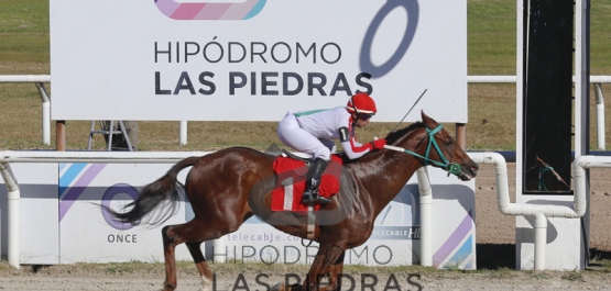 Sábado 8 de junio de 2019 - Hipódromo Las Piedras