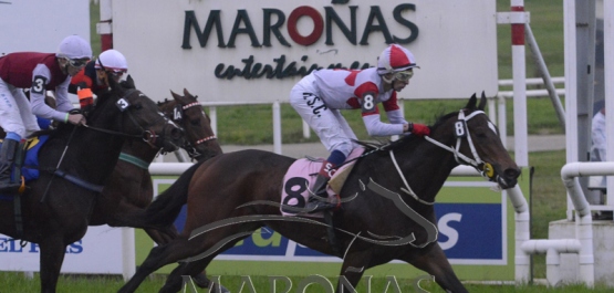 Viernes 14 de junio de 2019 - Hipódromo Nacional de Maroñas