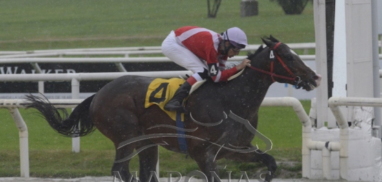 Domingo 16 de junio de 2019 - Hipódromo Nacional de Maroñas