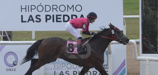 Sábado 22 de junio de 2019 - Hipódromo Las Piedras