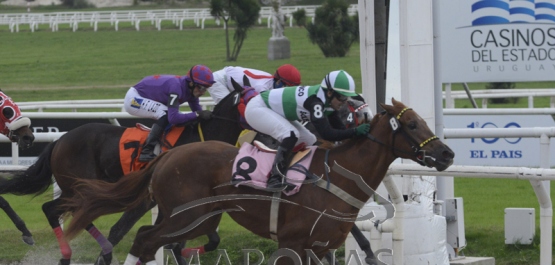 Domingo 23 de junio de 2019 - Hipódromo Nacional de Maroñas