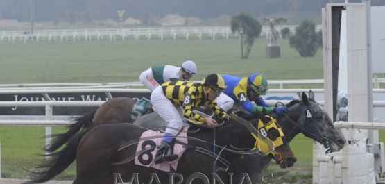 Viernes 28 de junio de 2019 - Hipódromo Nacional de Maroñas