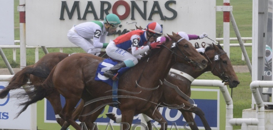 Sábado 29 de junio de 2019 - Hipódromo Nacional de Maroñas