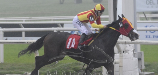 CLÁSICO REAPERTURA  DEL HIPÓDROMO NACIONAL DE MAROÑAS