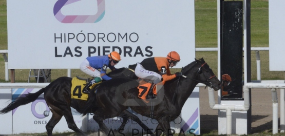 Sábado 6 de julio de 2019 - Hipódromo Las Piedras