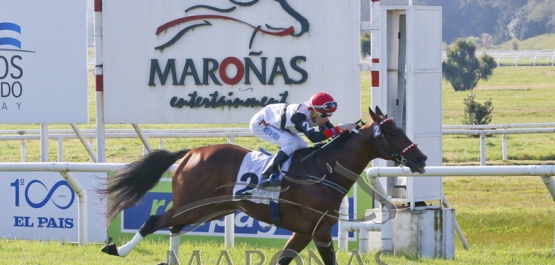 Domingo 14 de julio de 2019 - Hipódromo Nacional de Maroñas