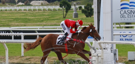 Domingo 21 de julio de 2019 - Hipódromo Nacional de Maroñas