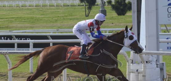 Domingo 28 de julio de 2019 - Hipódromo Nacional de Maroñas