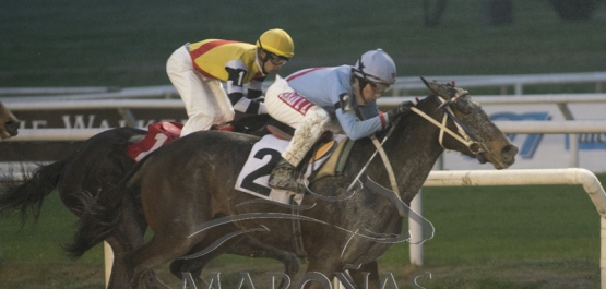 Viernes 9 de agosto de 2019 - Hipódromo Nacional de Maroñas