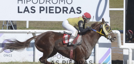 Sábado 10 de agosto de 2019 - Hipódromo Las Piedras