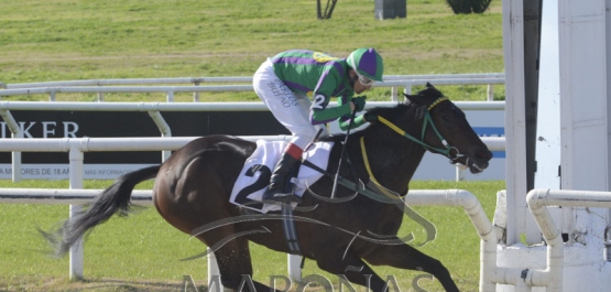 Domingo 11 de agosto de 2019 - Hipódromo Nacional de Maroñas