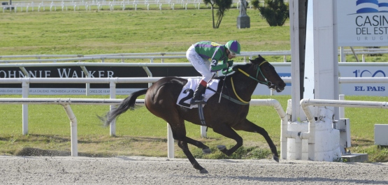 CLÁSICO HARAS DEL URUGUAY (POTRANCAS)