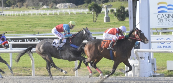 CLÁSICO HARAS DEL URUGUAY (POTRILLOS)