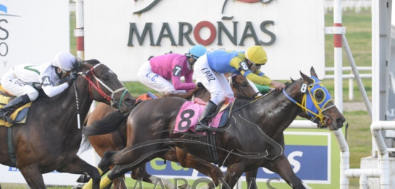 Viernes 16 de agosto de 2019 - Hipódromo Nacional de Maroñas