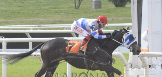 Domingo 18 de agosto de 2019 - Hipódromo Nacional de Maroñas