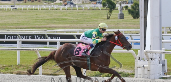 Sábado 24 de agosto de 2019 - Hipódromo Nacional de Maroñas