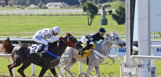 Sábado 31 de agosto de  - Hipódromo Nacional de Maroñas