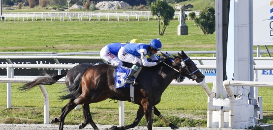 GRAN PREMIO POLLA DE POTRANCAS - COPA CODERE