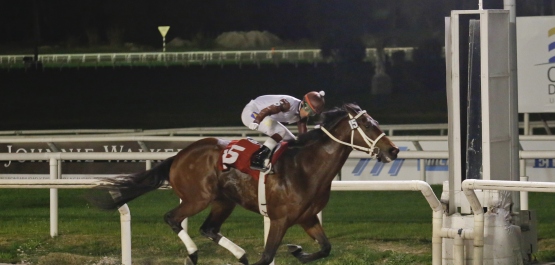 GRAN PREMIO POLLA DE POTRILLOS - COPA REDPAGOS