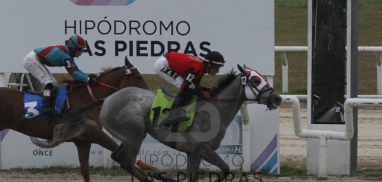 Sábado 7 de setiembre de 2019 - Hipódromo Las Piedras