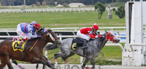 Domingo 8 de setiembre de 2019 - Hipódromo Nacional de Maroñas