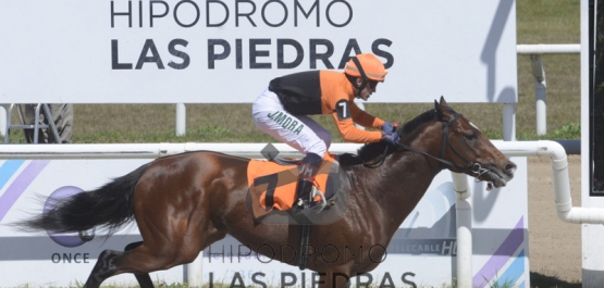 Sábado 14 de setiembre de 2019 - Hipódromo Las Piedras