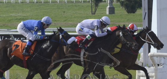 Domingo 15 de setiembre de 2019 - Hipódromo Nacional de Maroñas