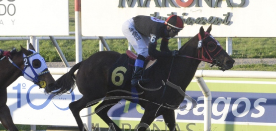 Viernes 20 de setiembre de 2019 - Hipódromo Nacional de Maroñas