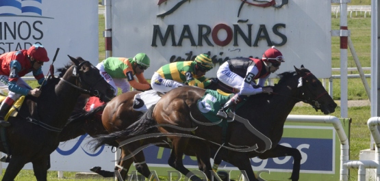 Domingo 22 de setiembre de 2019 - Hipódromo Nacional de Maroñas