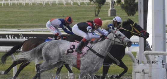 Viernes 27 de setiembre - Hipódromo Nacional de Maroñas