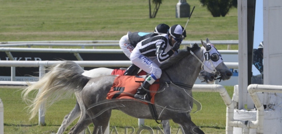 Domingo 29 de setiembre de 2019 - Hipódromo Nacional de Maroñas