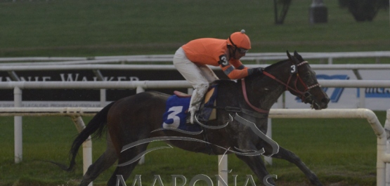 Viernes 4 de octubre de 2019 - Hipódromo Nacional de Maroñas