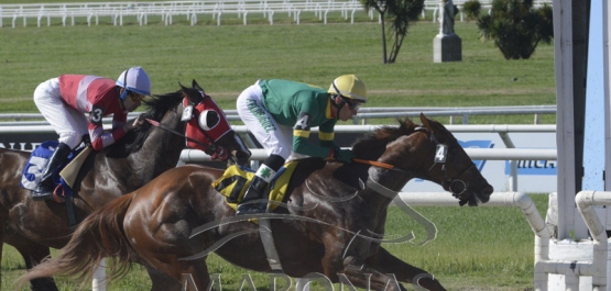 Domingo 6 de octubre de 2019 - Hipódromo Nacional de Maroñas