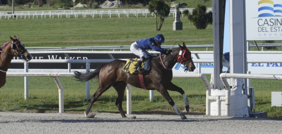 CLÁSICO STUD BOOK URUGUAYO