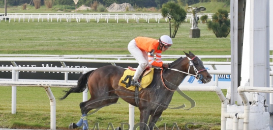 Viernes 11 de octubre de 2019 - Hipódromo Nacional de Maroñas