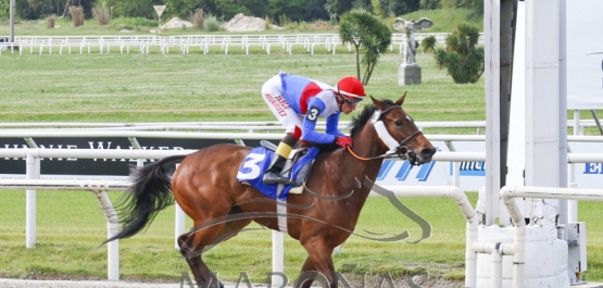 Domingo 13 de octubre de 2019 - Hipódromo Nacional de Maroñas