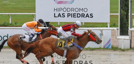 GRAN PREMIO DE HONOR