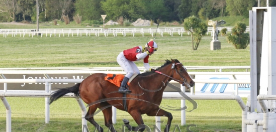 CLÁSICO CARLOS REYLES