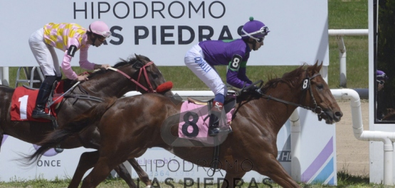 Sábado 19 de octubre de 2019 - Hipódromo Las Piedras