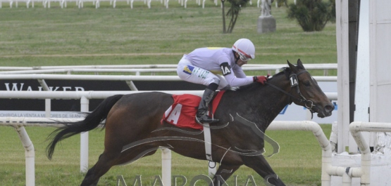 Domingo 20 de octubre de 2019 - Hipódromo Nacional de Maroñas