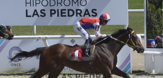 Viernes 25 de octubre de 2019 - Hipódromo Las Piedras