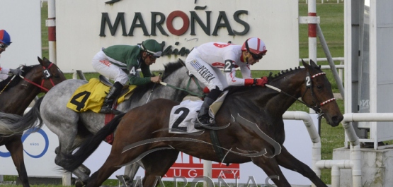 Viernes 1º de noviembre de 2019 - Hipódromo Nacional de Maroñas