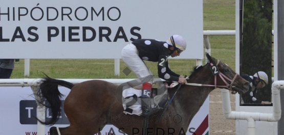 Sábado 2 de noviembre de 2019 - Hipódromo Las Piedras