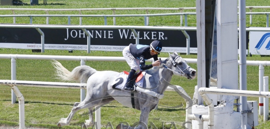 Domingo 3 de noviembre de 2019 - Hipódromo Nacional de Maroñas