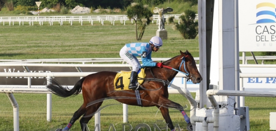 Viernes 8 de noviembre de 2019 - Hipódromo Nacional de Maroñas