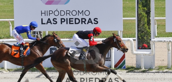 Sábado 9 de noviembre de 2019 - Hipódromo Las Piedras