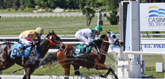 Domingo 10 de noviembre de 2019 - Hipódromo Nacional de Maroñas