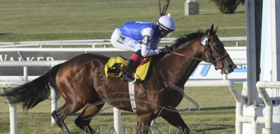 Viernes 15 de noviembre de 2019 - Hipódromo Nacional de Maroñas